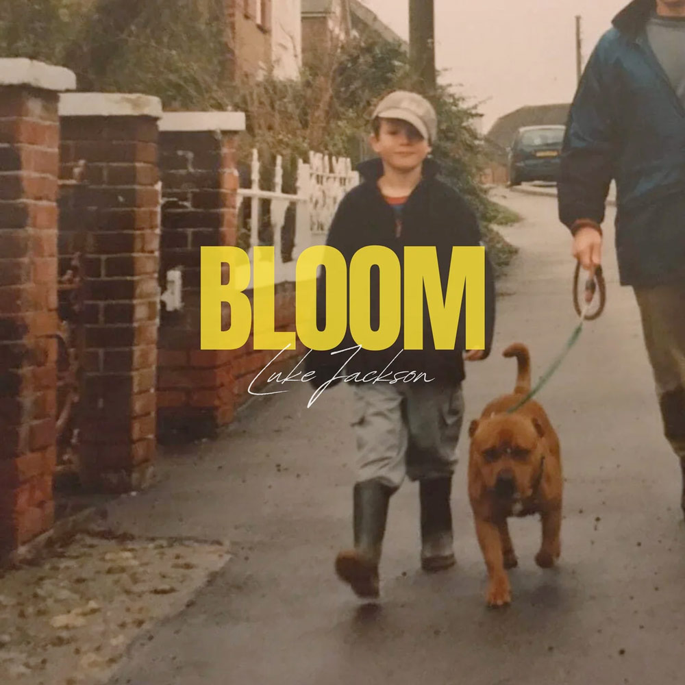 Bloom